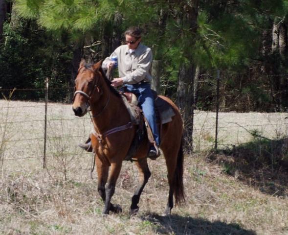 135-Woman on Bay Horse.jpg